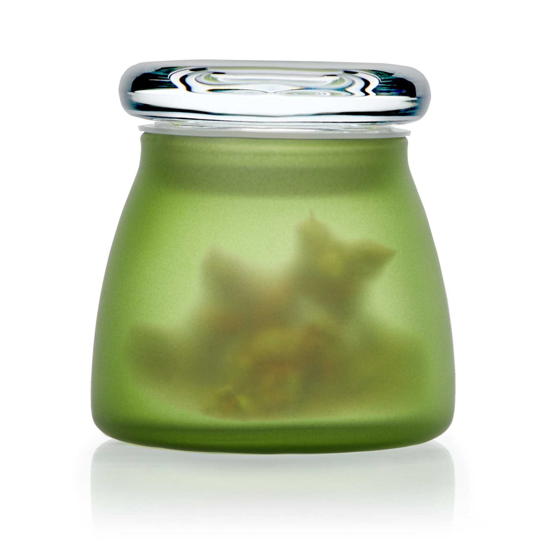 4.5-ounce jar with lid protects contents from harmful UV rays