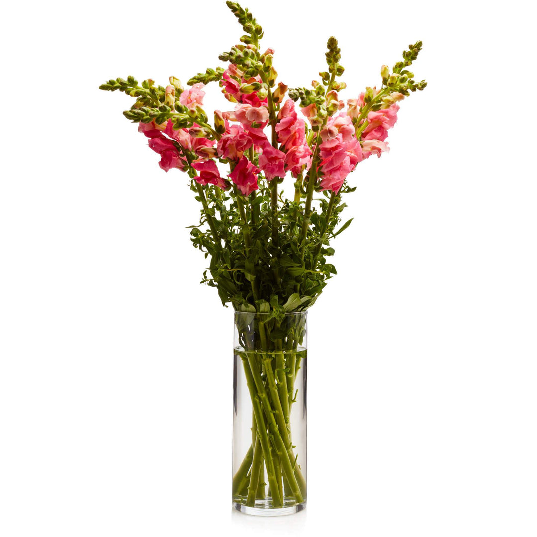 Versatile, multifunctional, and economical vase set is simply beautiful and timeless -- adds height and slim profile for dramatic floral presentations, floating candles, beads, or dozens of other creative ideas